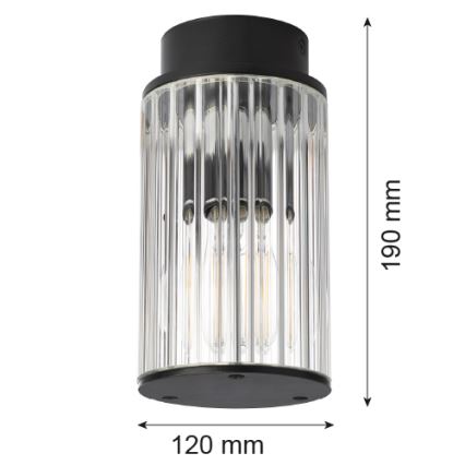 Argon 8773 - Āra griestu lampa NORFOLK 1xE27/15W/230V IP44 melna