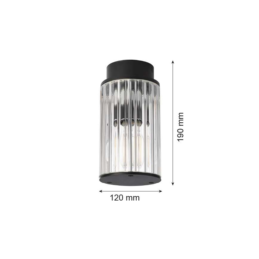 Argon 8773 - Āra griestu lampa NORFOLK 1xE27/15W/230V IP44 melna
