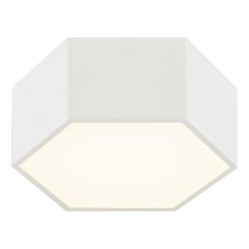 Argon 8781 - LED Griestu lampa LIBERO LED/12W/230V 3000K balta