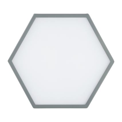 Argon 8784 - LED Griestu lampa LIBERO LED/12W/230V 3000K pelēka