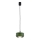 Argon 8815 - Lustra ar auklu TEVO 1xG9/4,5W/230V zaļa