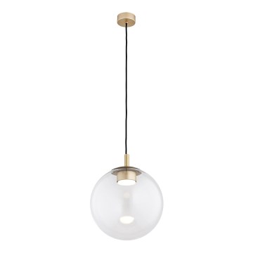 Argon 8828 - Lustra ar auklu SACRAMENTO 1xGX53/8W/230V caurspīdīga/zelta