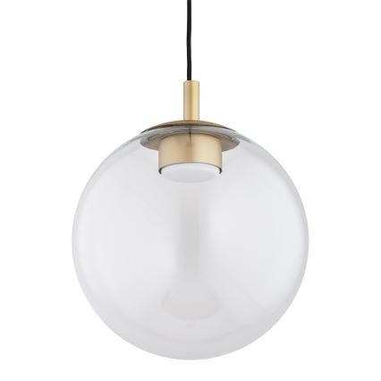 Argon 8828 - Lustra ar auklu SACRAMENTO 1xGX53/8W/230V caurspīdīga/zelta