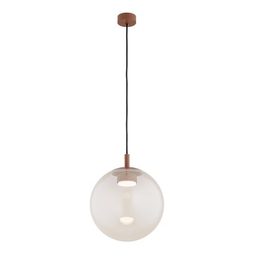 Argon 8829 - Lustra ar auklu SACRAMENTO 1xGX53/8W/230V caurspīdīga/brūna