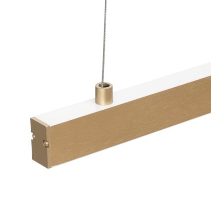 Argon 8836 - LED Lustra ar auklu MIAMI LED/37W/230V 3000K zelta