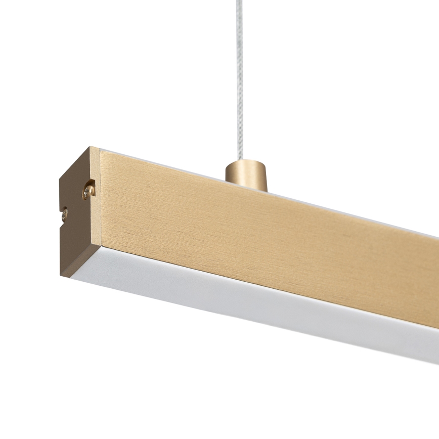 Argon 8836 - LED Lustra ar auklu MIAMI LED/37W/230V 3000K zelta