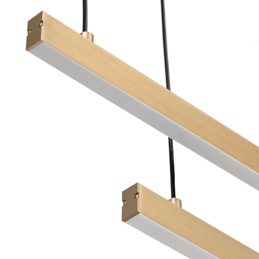 Argon 8839 - LED Lustra ar auklu MIAMI LED/74W/230V 3000K zelta