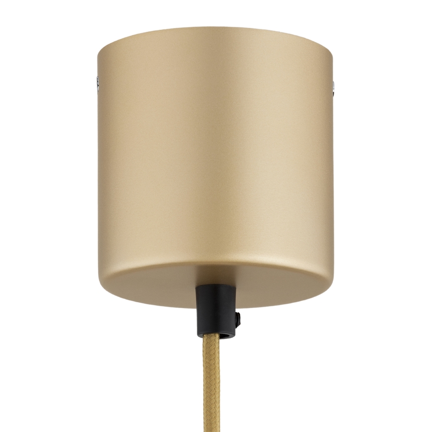 Argon 8869 - LED lustra uz troses BOLTON LED/12,5W/230V 3000K zelta