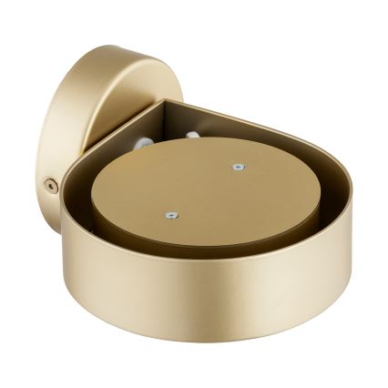 Argon 8899 - Sienas gaismeklis LOTUS 1xGX53/12W/230V zelta krāsā