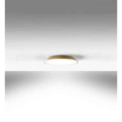 Artemide AR 0241320A - LED Griestu lampa FEBE 4xLED/30W/230V