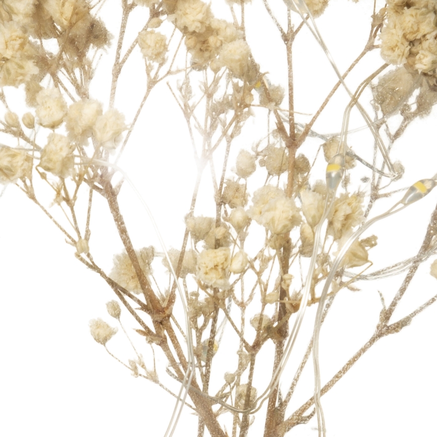 Atmosphera - LED galda lampa MICRO LED/2xAAA antracīts