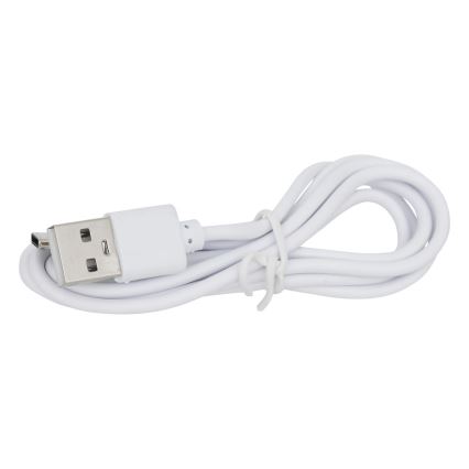 Atmosphera - LED RGBW Uzlādējama āra galda lampa ZACK LED/3,7V 1200 mAh IP44 tirkīza