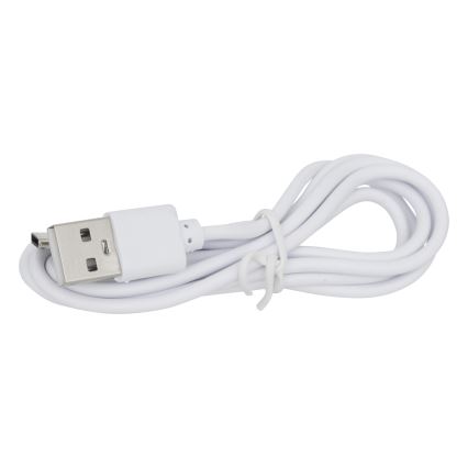 Atmosphera - LED Saules enerģijas lampa KESY LED/1,2V 2200 mAh IP44