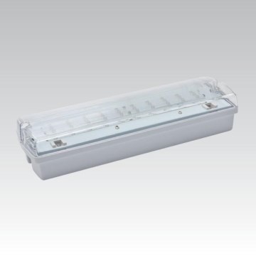 Avārijas gaismas lampa CARLA LED LED/5,51W/230V temporary 1h IP65