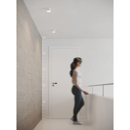 Azzardo AZ2252 - LED griestu gaismeklis MONZA LED/5W/230V