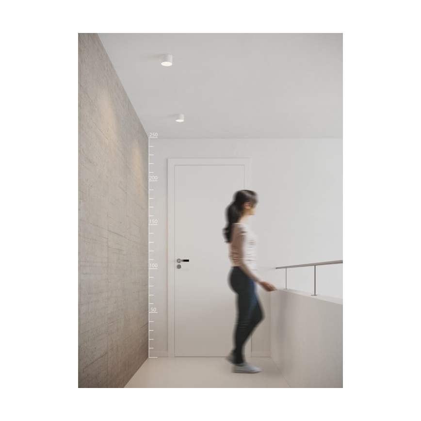 Azzardo AZ2253 - LED griestu lampa MONZA LED/5W/230V