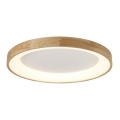 Azzardo AZ2698 - LED griestu gaismeklis SILVAM LED/50W/230V