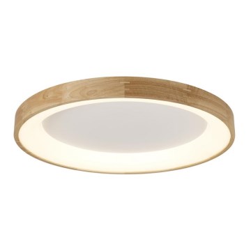 Azzardo AZ2698 - LED griestu gaismeklis SILVAM LED/50W/230V