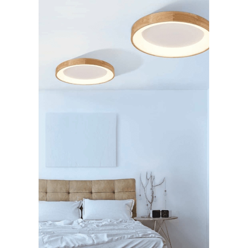 Azzardo AZ2698 - LED griestu gaismeklis SILVAM LED/50W/230V