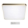 Azzardo AZ2760 - LED dimmējams griestu lukturis QUADRO LED/60W/230V+ tālvadības pults