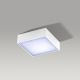 Azzardo AZ2781 - LED griestu gaismeklis FALCO LED/12W/230V