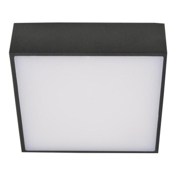 Azzardo AZ2783 - LED griestu gaismeklis FALCO LED/12W/230V