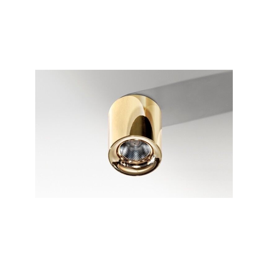 Azzardo AZ2846 - LED griestu gaismeklis MANE 1xLED/10W/230V
