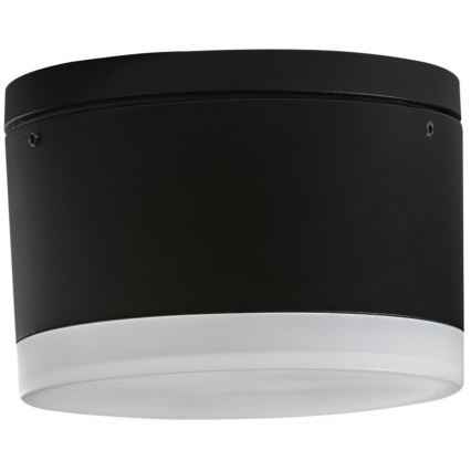 Azzardo AZ4333 - LED Āra griestu gaismeklis APULIA LED/10W/230V IP54