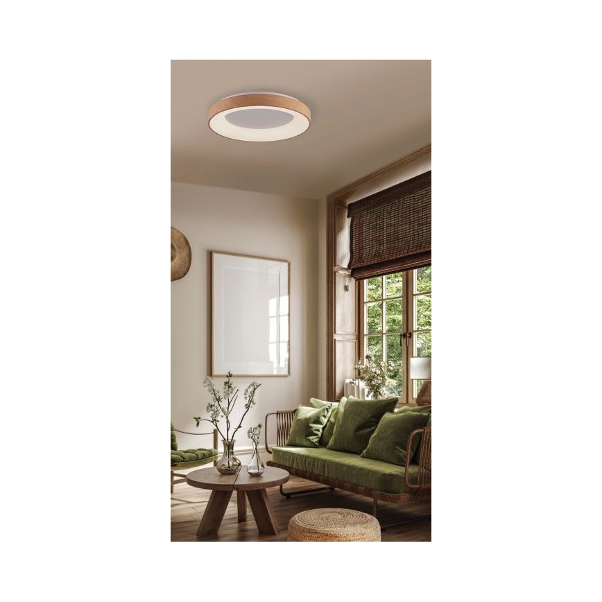 Azzardo AZ4989 - LED Griestu lampa SANTANA LED/30W/230V brūna