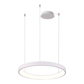 Azzardo AZ5015 - LED Aptumšojama lustra ar auklu AGNES LED/38W/230V d. 48 cm, balta