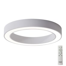 Azzardo AZ5037 - LED Aptumšojama griestu lampa MARCO LED/80W/230V balta + tālvadības pults
