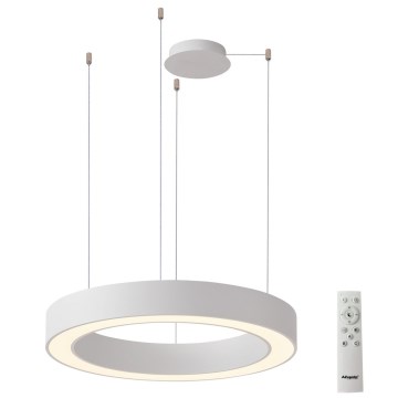 Azzardo AZ5046 - LED Aptumšojama lustra ar auklu MARCO LED/60W/230V balta + tālvadības pults