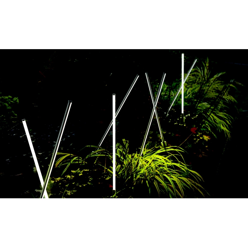 Azzardo AZ5337 - LED Āra lampa FREDO LED/6W/230V IP54 58 cm