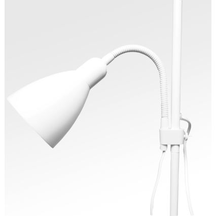 Balta grīdas lampa WENDY 1xE27/100W/230V + 1xE14/40W