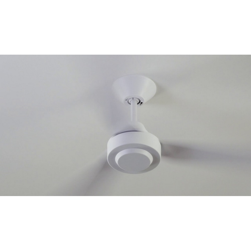 BAYSIDE 213015 - Griestu ventilators CALYPSO balta