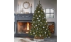 Black Box Trees 1098416 - LED Ziemassvētku eglīte 185 cm 140xLED/230V