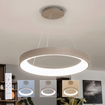 BRILAGI - Aptumšojama LED lustra uz stieples FALCON II LED/99W/230V 3000-6500K pr. 60 cm bēša + tālvadība
