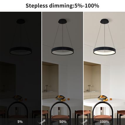 Brilagi - LED regulējama karājamā lampa uz troses FALCON MODERN LED/30W/230V 3000-6500K pr. 40 cm melna + tālvadības pults