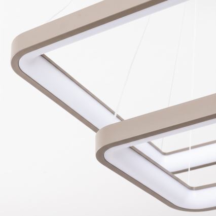 BRILAGI - regulējama LED lustra uz kabeļa FALCON SLIM LED/78W/230V 3000-6500K 50x50 cm bēša + ar tālvadības pulti
