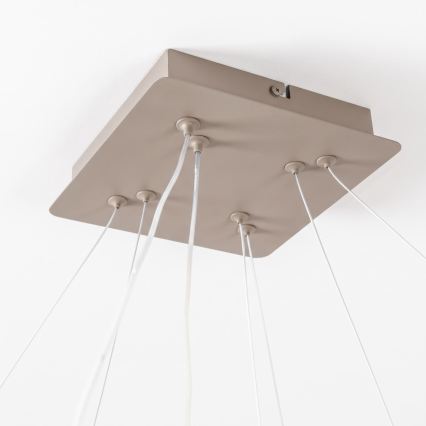 BRILAGI - regulējama LED lustra uz kabeļa FALCON SLIM LED/78W/230V 3000-6500K 50x50 cm bēša + ar tālvadības pulti