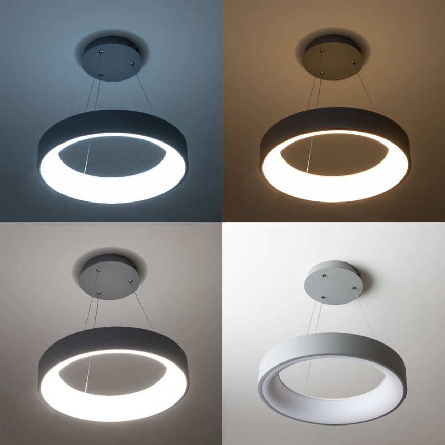 Brilagi - Dimmējama LED lustra uz troses FALCON LED/40W/230V 3000-6500K Ø 45 cm pelēka + ar tālvadības pulti