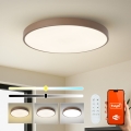 Brilagi - Aptumšojams LED gaismeklis POOL SMART LED/100W/230V Ø 80 cm 3000-6000K Wi-Fi Tuya + tālvadības pults, krāsa brūna