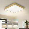 BRILAGI - Aptumšojams LED griestu gaismeklis POOL SQUARE LED/36W/230V 3000-6000K 40x40 cm zelta + tālvadības pults