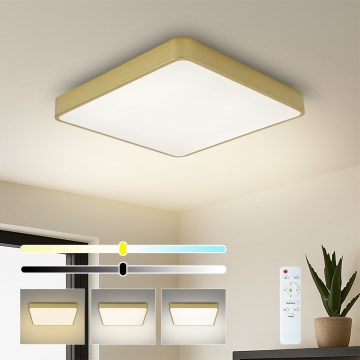 BRILAGI - Aptumšojams LED griestu gaismeklis POOL SQUARE LED/36W/230V 3000-6000K 40x40 cm zelta + tālvadības pults