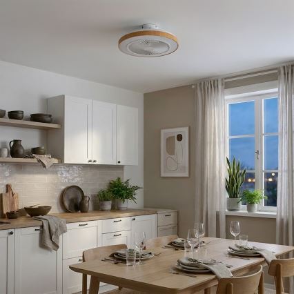 Brilagi - LED aptumšojams griestu ventilators LED/38W/230V 50 cm balts/brūns + tālvadības pults