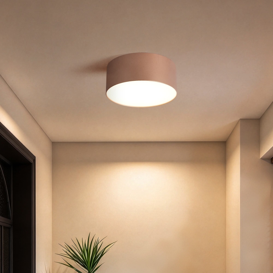 BRILAGI - Āra griestu gaismeklis FORIS LED/20W/230V Ø 15 cm bronzas krāsas IP44