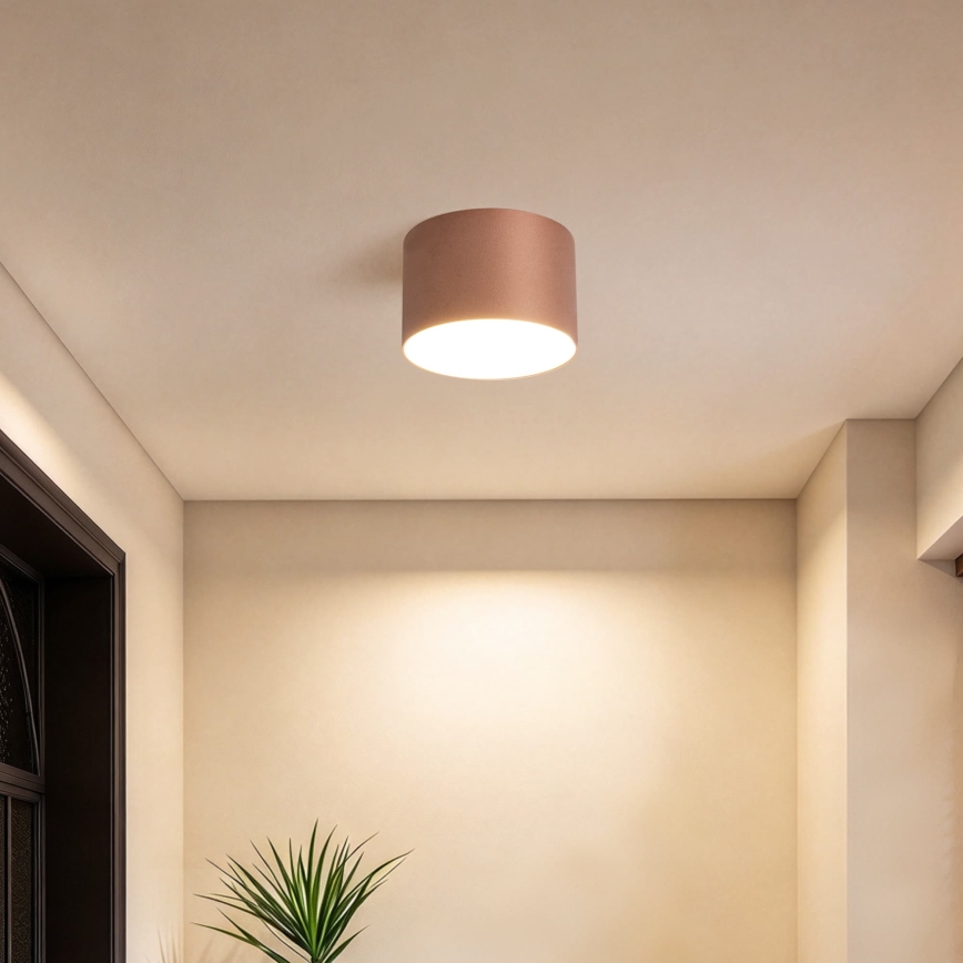 BRILAGI - Āra griestu gaismeklis FORIS LED/9W/230V Ø 9 cm bronzas krāsā IP44