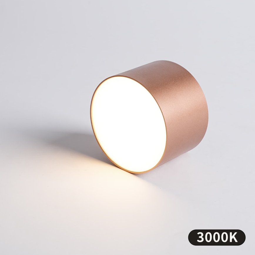 BRILAGI - Āra griestu gaismeklis FORIS LED/9W/230V Ø 9 cm bronzas krāsā IP44