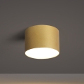 BRILAGI - Āra griestu gaismeklis FORIS LED/9W/230V Ø 9 cm zelta IP44