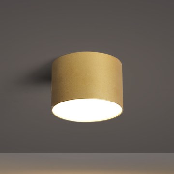 BRILAGI - Āra griestu gaismeklis FORIS LED/9W/230V Ø 9 cm zelta IP44
